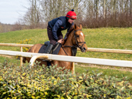 BP200326-31 - It's Hard To Know